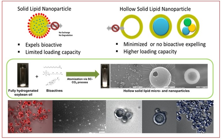 Diagrams of hollows solid lipid nanoparticles