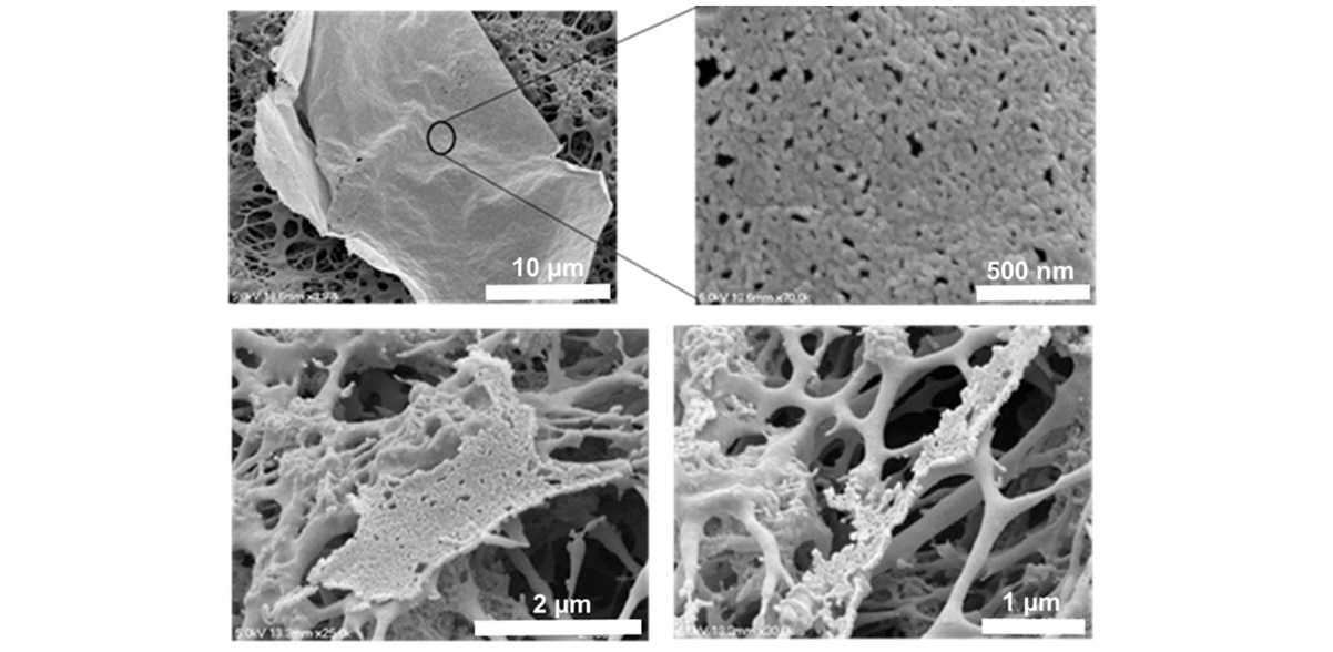 Aerogel photos from SEM 