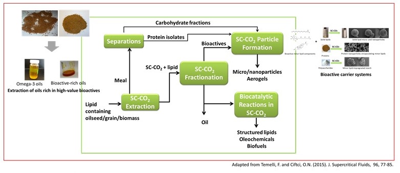 biorefineries flowchart