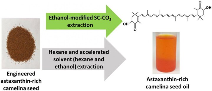 GA_Extraction of astaxanthin2