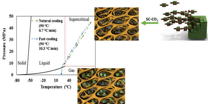 GA_phytosterol nanoparticles