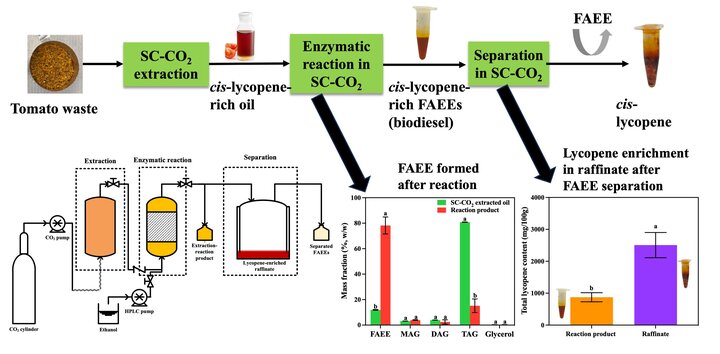 Graphical abstract_Lycopene