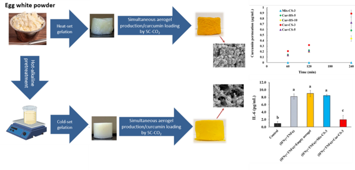 Graphical abstract curcumin