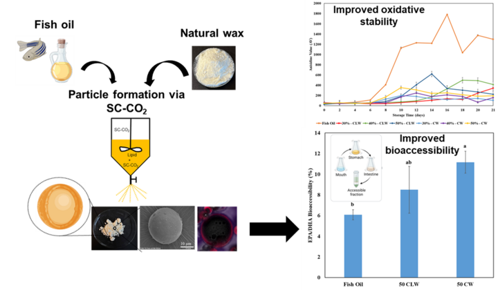 Graphical abstract fish oil