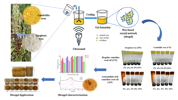 Oleogel graphical abstract