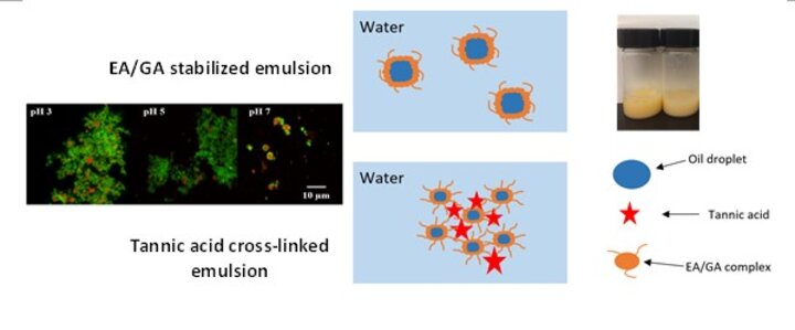 GA_Encapsulation of astaxanthin-enriched camelina oil