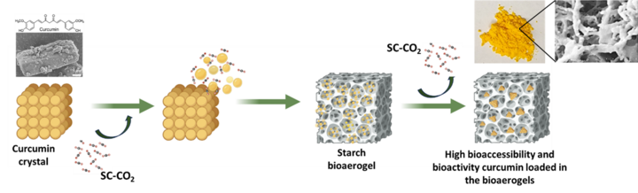 Graphical abstract