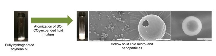 GA_hollow solid lipid micro- and nanoparticles