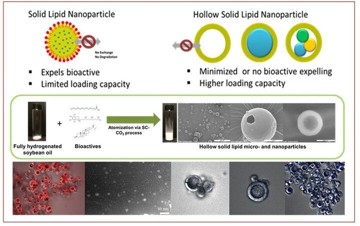 Hollow Solid lipid particles