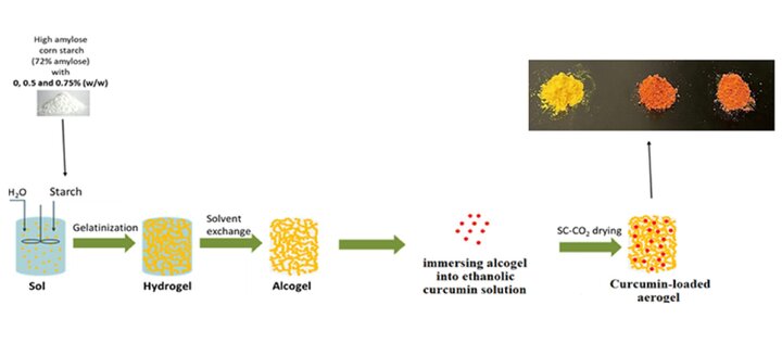 GA_high bioavailability curcumin