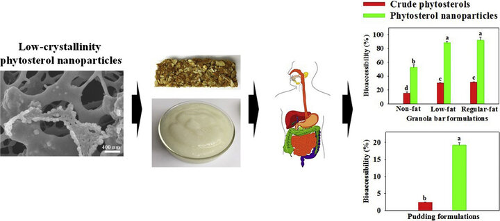 GA_non-fat and regular-fat foods