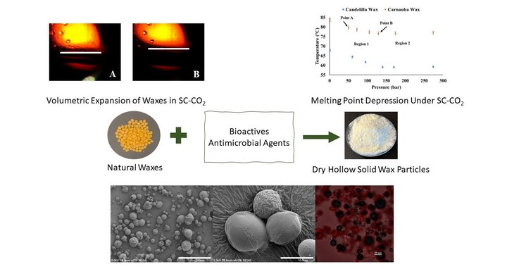 Wax particles graphical abstract
