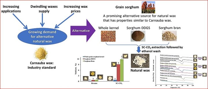 Wax extraction graphical abstract